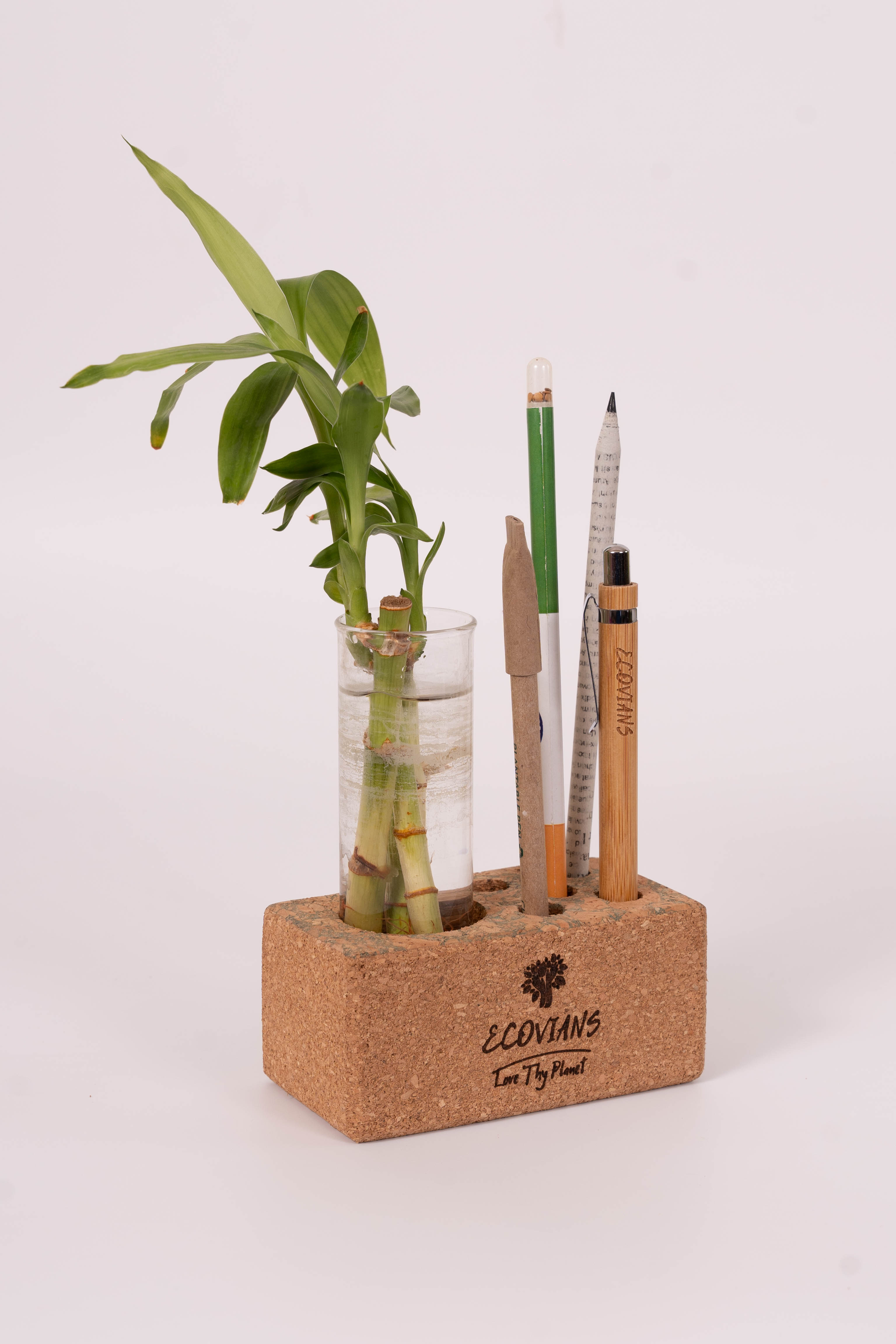 Cork Planter Cum Pen Holder Cork Planter Cum Pen Holder