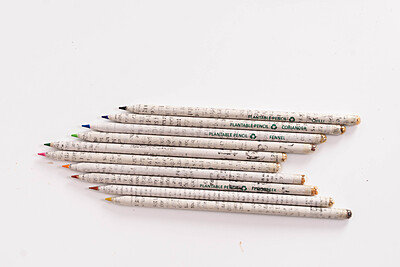 Newspaper Color lead pencil (box of 10)
