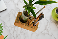 Cork Planter Cum Pen Holder Cork Planter Cum Pen Holder