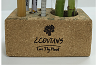 Cork Planter Cum Pen Holder Cork Planter Cum Pen Holder