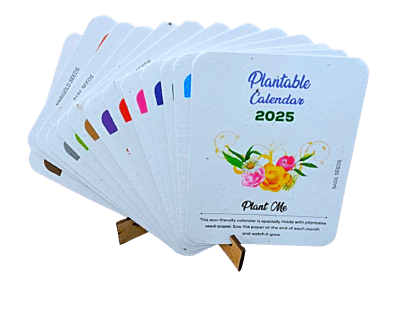Plantable Stationery Kit